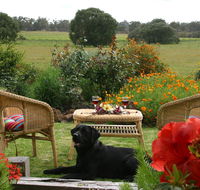 Silversprings cottages - Accommodation Gold Coast