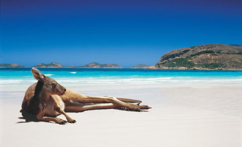Esperance YHA - Accommodation Gold Coast 14