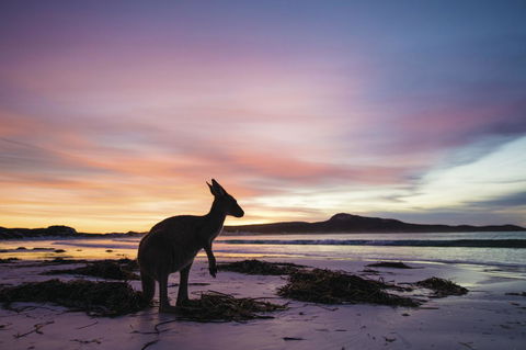 Esperance YHA - Accommodation Gold Coast 20