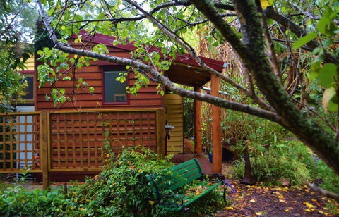 Black Cockatoo Lodge - Accommodation Gold Coast 36