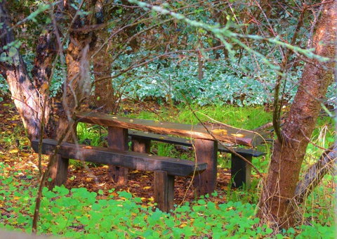 Black Cockatoo Lodge - Accommodation Gold Coast 44