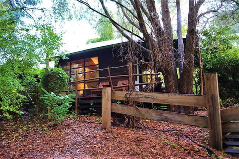 Black Cockatoo Lodge - Accommodation Gold Coast 4