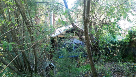 Black Cockatoo Lodge - Accommodation Gold Coast 22