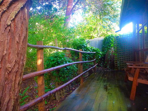 Black Cockatoo Lodge - Accommodation Gold Coast 21