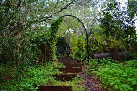 Black Cockatoo Lodge - Accommodation Gold Coast 27