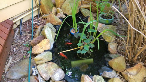 Black Cockatoo Lodge - Accommodation Gold Coast 29