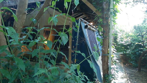 Black Cockatoo Lodge - Accommodation Gold Coast 13