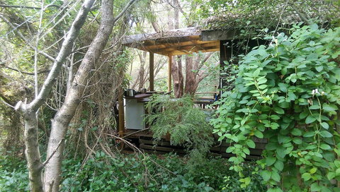 Black Cockatoo Lodge - Accommodation Gold Coast 6