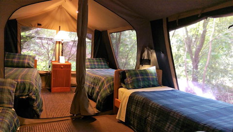 Black Cockatoo Lodge - Accommodation Gold Coast 17