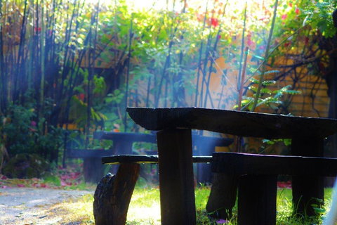 Black Cockatoo Lodge - Accommodation Gold Coast 43