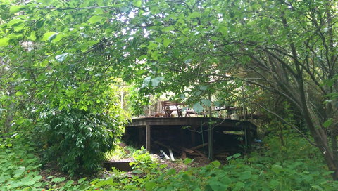 Black Cockatoo Lodge - Accommodation Gold Coast 23