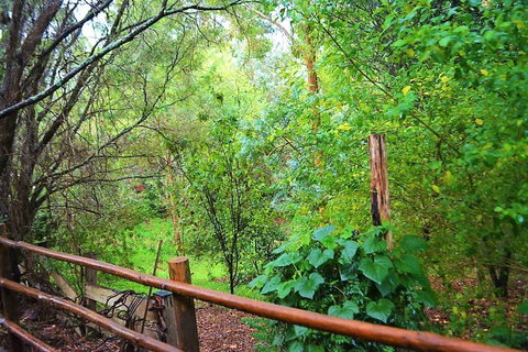 Black Cockatoo Lodge - Accommodation Gold Coast 28