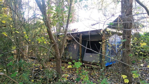 Black Cockatoo Lodge - Accommodation Gold Coast 11