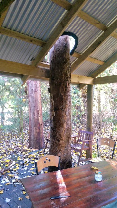 Black Cockatoo Lodge - Accommodation Gold Coast 19