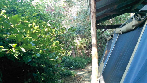 Black Cockatoo Lodge - Accommodation Gold Coast 12