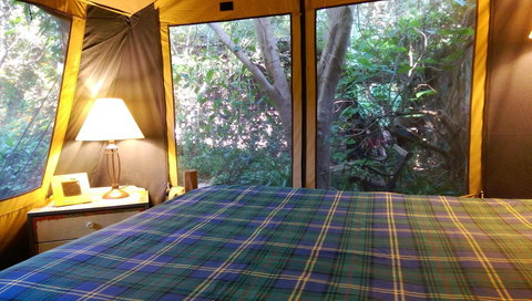 Black Cockatoo Lodge - Accommodation Gold Coast 16