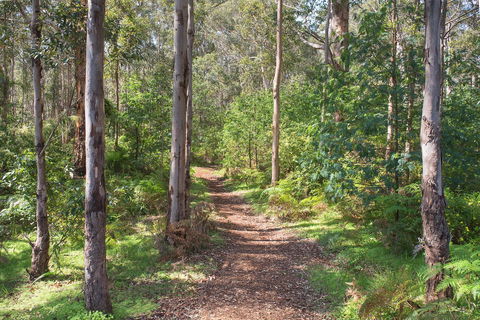 Tall Trees Margaret River - Gold Coast 4U 4