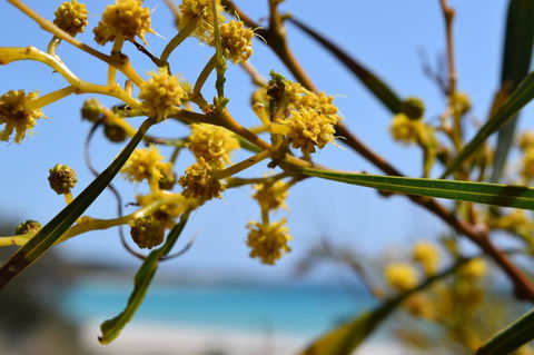 Eagle Bay House - Accommodation Gold Coast 12