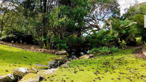 43 Degrees Bruny Island - Accommodation Gold Coast 8