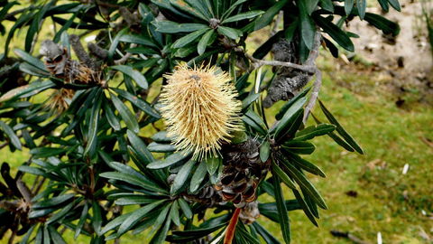 43 Degrees Bruny Island - Accommodation Gold Coast 11