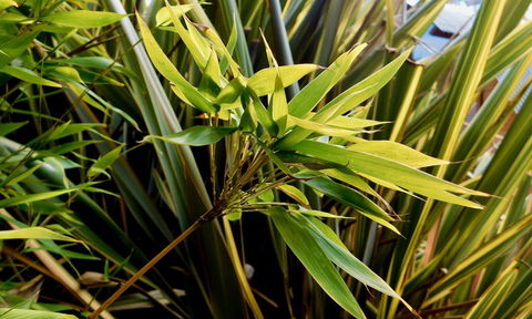 43 Degrees Bruny Island - Accommodation Gold Coast 10