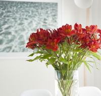 On The Beach Waterfront Apartment - Accommodation Gold Coast