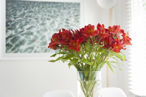 On The Beach Waterfront Apartment - 1 Gold Coast 0