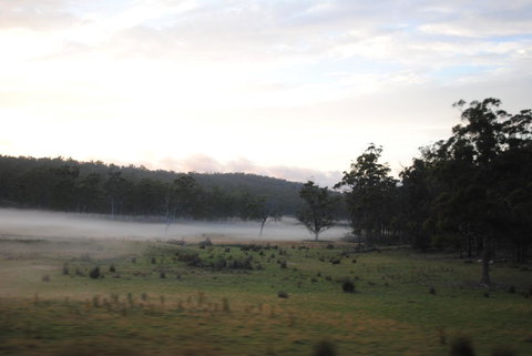 A Slice Of Paradise - Accommodation Gold Coast 14