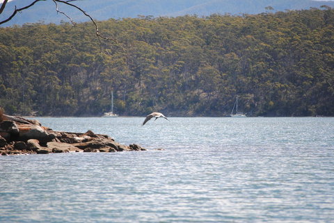 A Slice Of Paradise - Accommodation Gold Coast 18