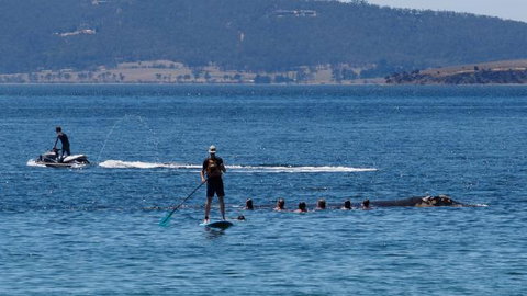 The Ultimate Beach House - 1 Gold Coast 19