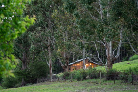 Adventure Bay Retreat Bruny Island - Accommodation Gold Coast 24