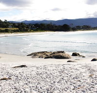 Mermaids of Bicheno - Gold Coast 4U