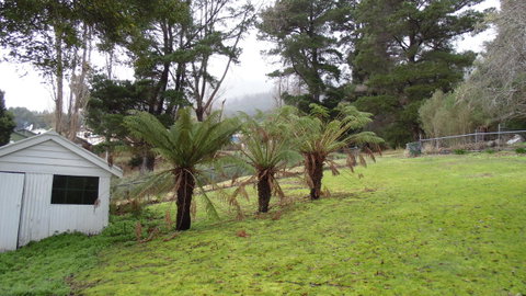 Maydena Chalet - Accommodation Gold Coast 44