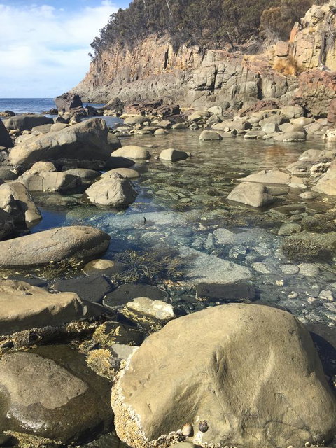 970 Adventure Bay Road - Accommodation Gold Coast 2