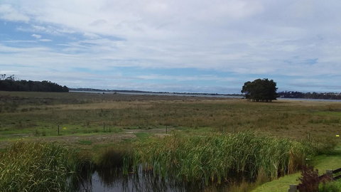 Pelican Point Sanctuary - Accommodation Gold Coast 21