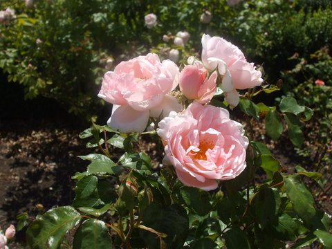 The WeareHouse In Deloraine - 1 Gold Coast 39