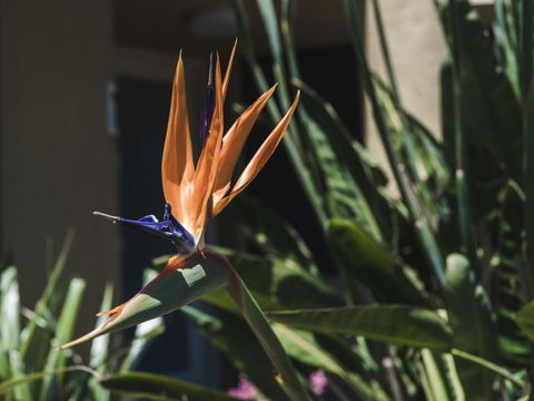 Russell House - Accommodation Gold Coast 2