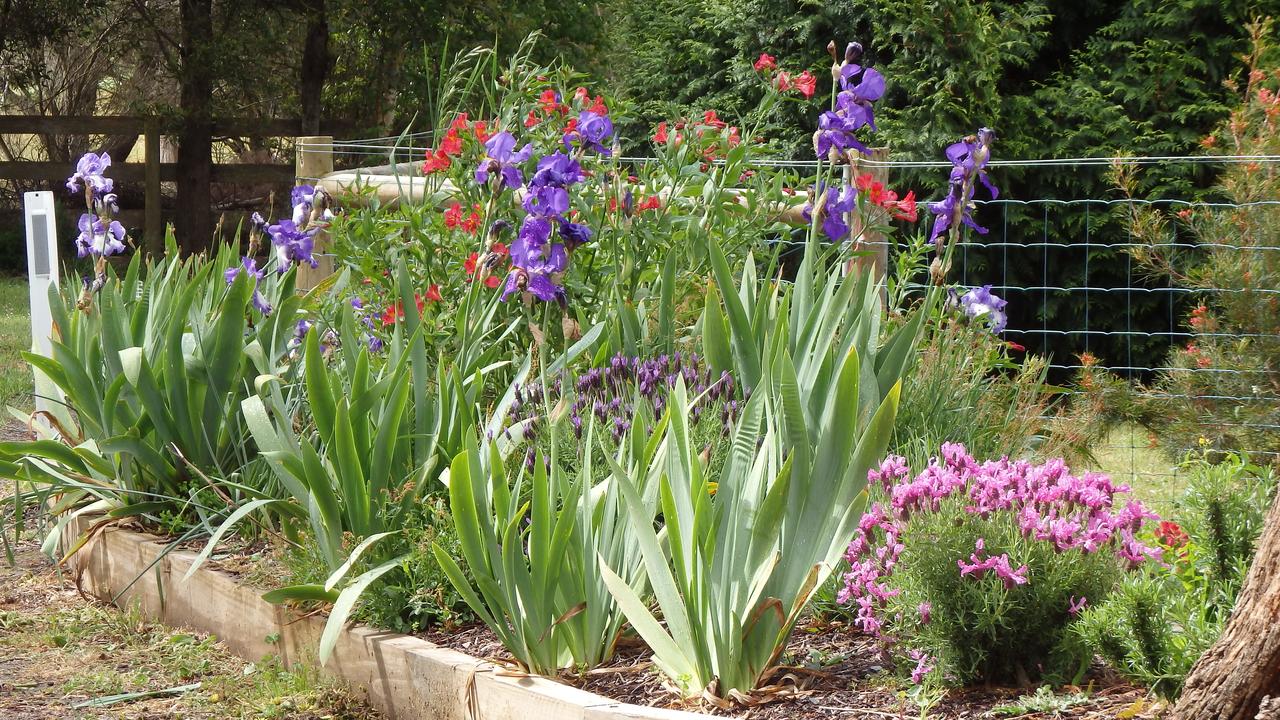  Accommodation Gold Coast