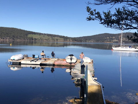 Free Spirit Pods - Accommodation Gold Coast 3