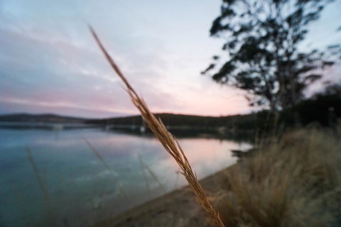 Free Spirit Pods - Accommodation Gold Coast 8