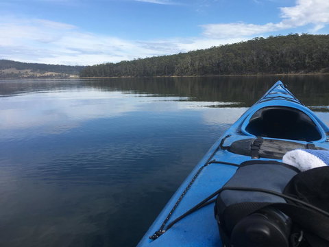 Free Spirit Pods - Accommodation Gold Coast 20