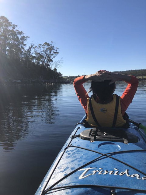 Free Spirit Pods - Accommodation Gold Coast 1