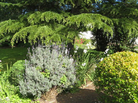 The Grove Cottages - Gold Coast 4U 12