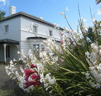 The Grove Cottages - Accommodation Gold Coast