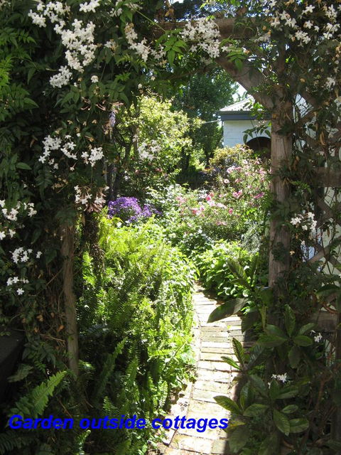The Grove Cottages - Gold Coast 4U 3