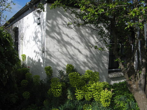 The Grove Cottages - Gold Coast 4U 13