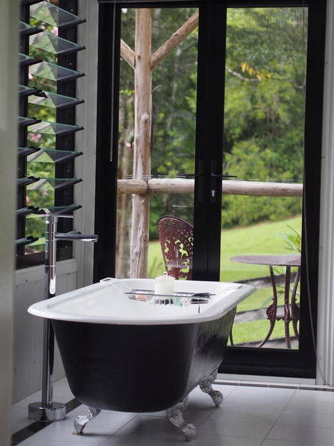 Nightcap Ridge - Byron Bay Hinterland - Accommodation Gold Coast 3