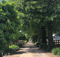 Oak Lane Guest House  Farm Stay - Accommodation Gold Coast