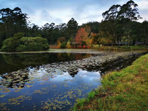 OCT Forest Lodge - Accommodation Gold Coast 2