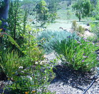 Old Miners' Cottages Bed and Breakfast - Accommodation Gold Coast